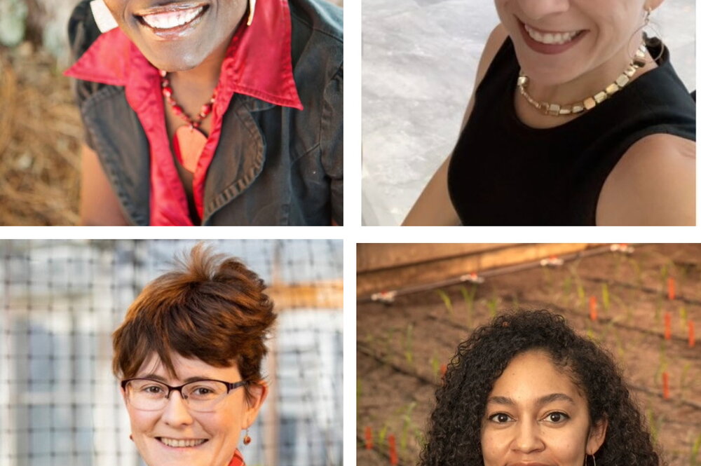 A four image collage with four women featured in each photo