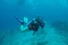 scuba diving girl