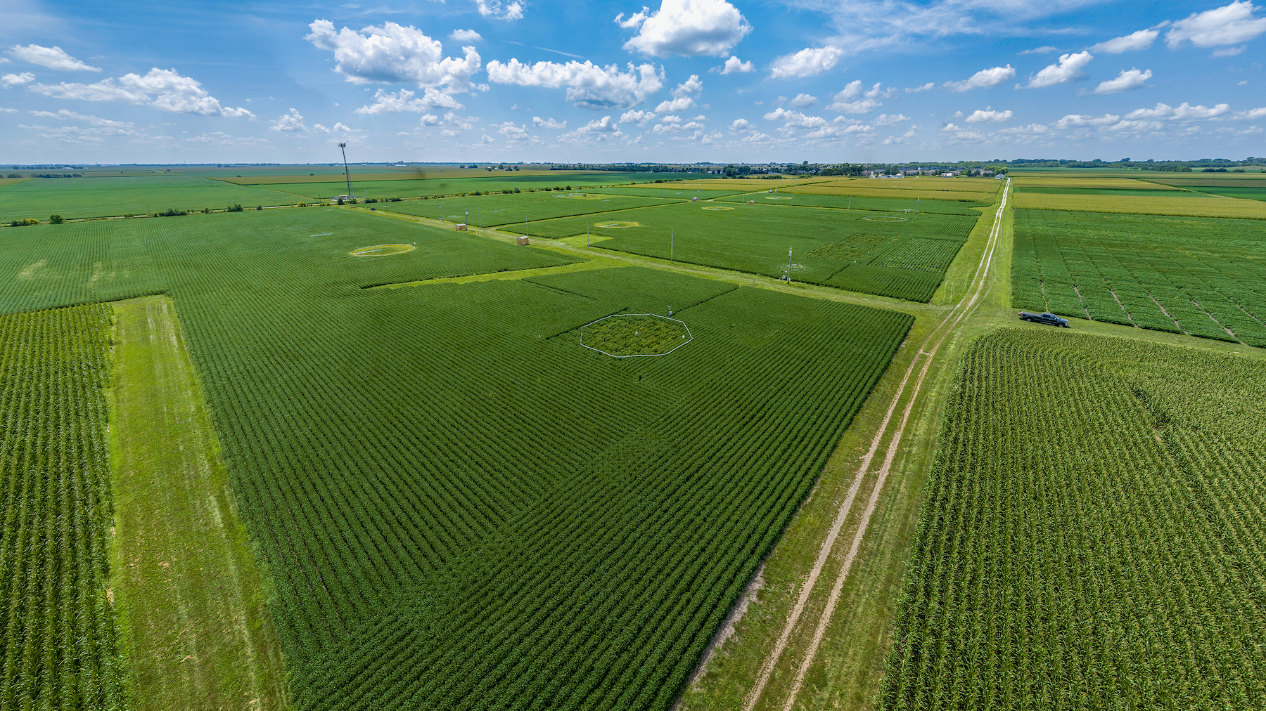 A drone shot of the soy fields