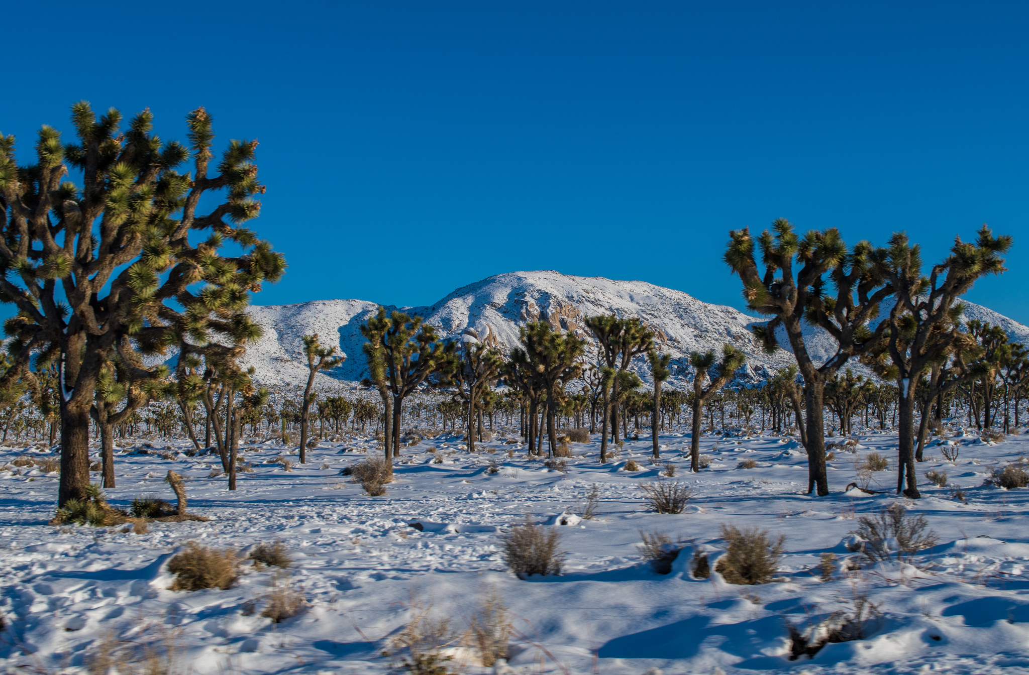 Snowy empty ground with a snow covered mountain in the background