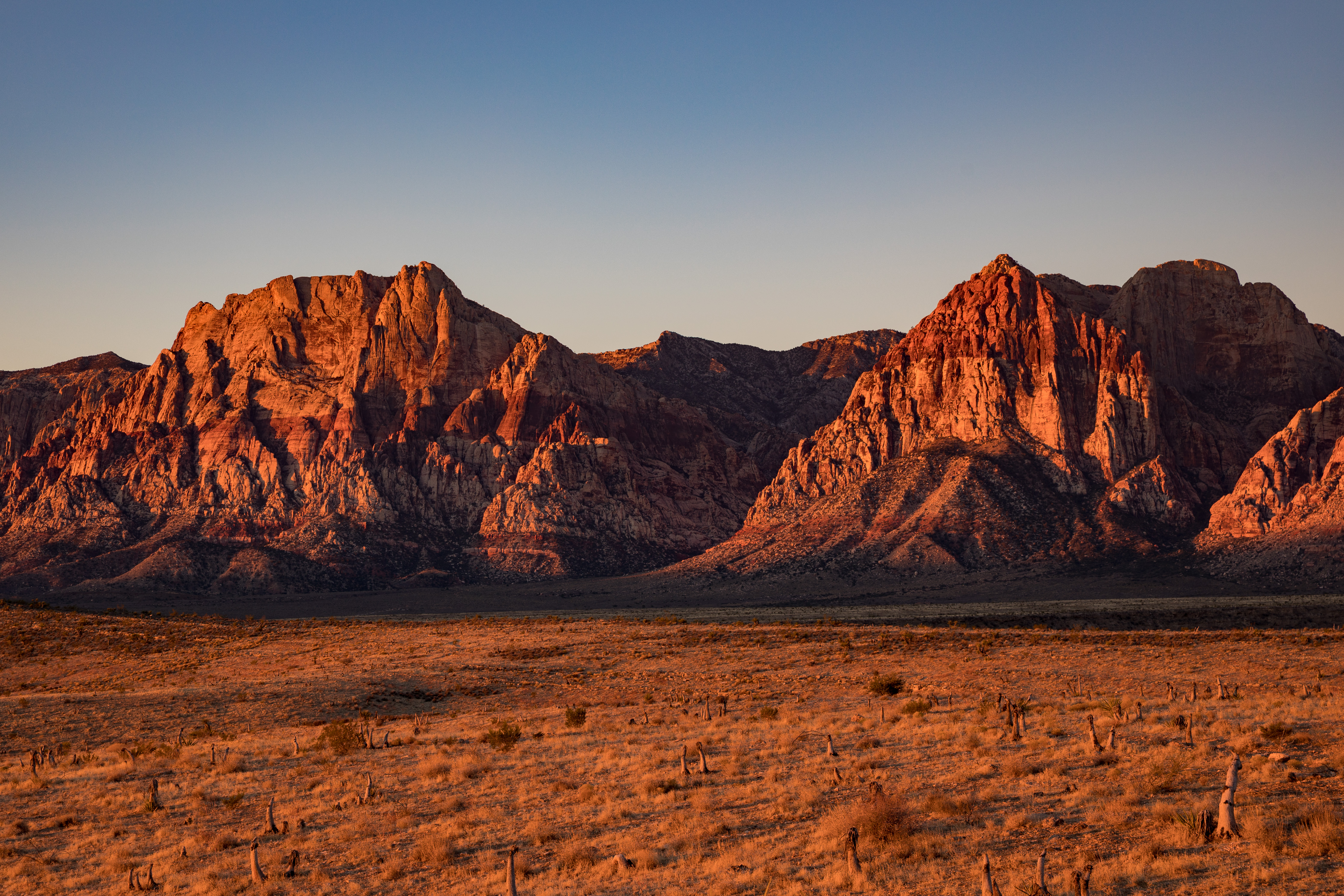 red mesa rocks in the desert