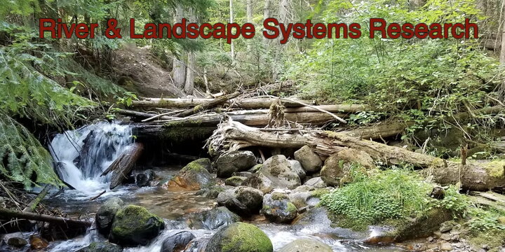 A scenic image of a stream flowing in the woods