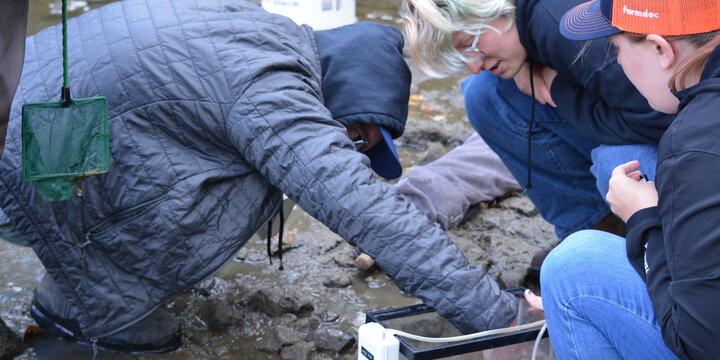 Students working with a fish tank