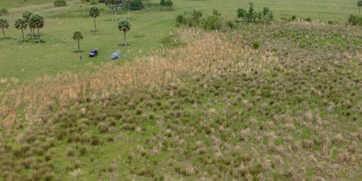 a photo of a field