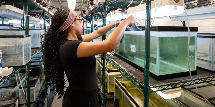A student working with a aquarium tank filled with water