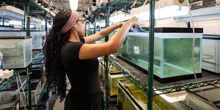 A student working with a aquarium tank filled with water