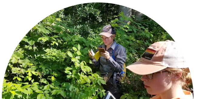 two students working with plants