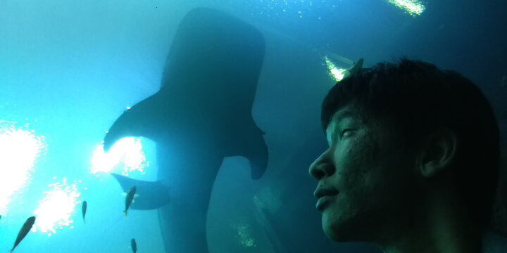 A photo of Milton Tan standing by a shark