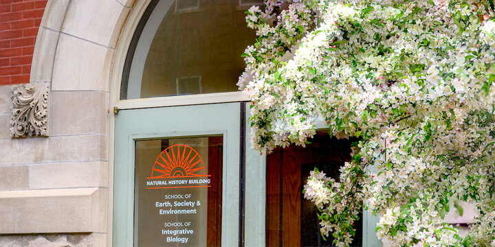 a door with a sunburst logo and text on it next to a flowering tree