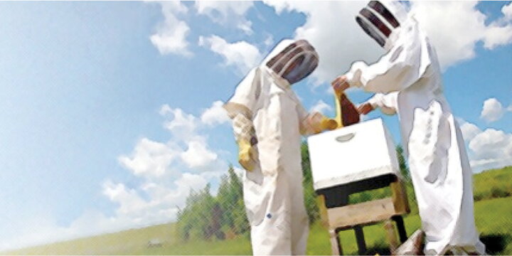 two people in beekeeper outfits