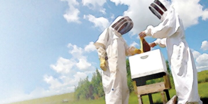 Two people in beekeepers clothes