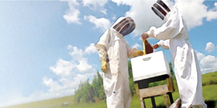 two people in beekeeper outfits