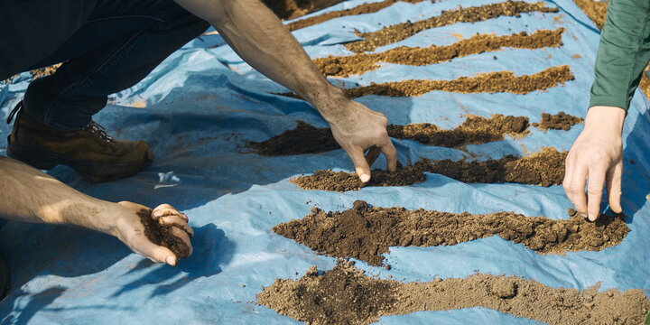 Hands working with dirt on a blue tarp