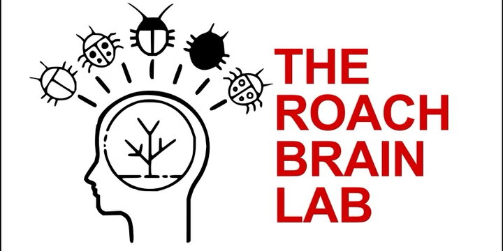 logo for roach brain lab