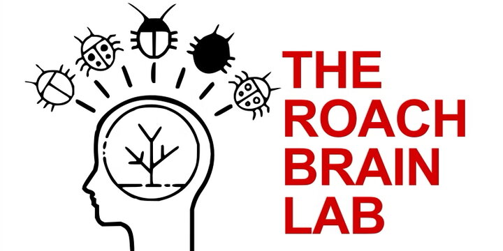 decorative logo for the lab