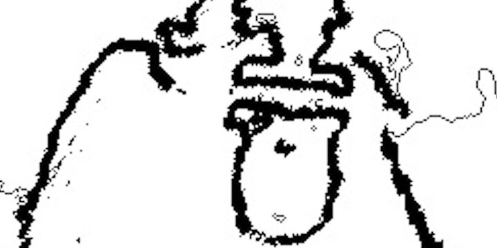 a loose image of a primate