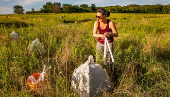 students conducting work out in a field