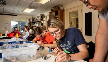 students tagging bees