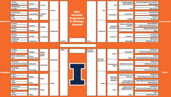 a march madness style bracket that's orange and white with a block I on it