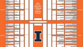 a march madness style bracket that's orange and white with a block I on it