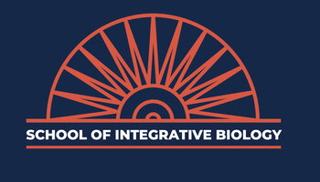 SIB Sunburst logo