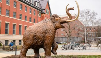 The woolly mammoth outside the Natural History Building