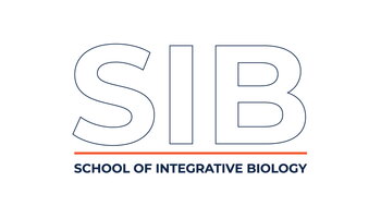 SIB Advising