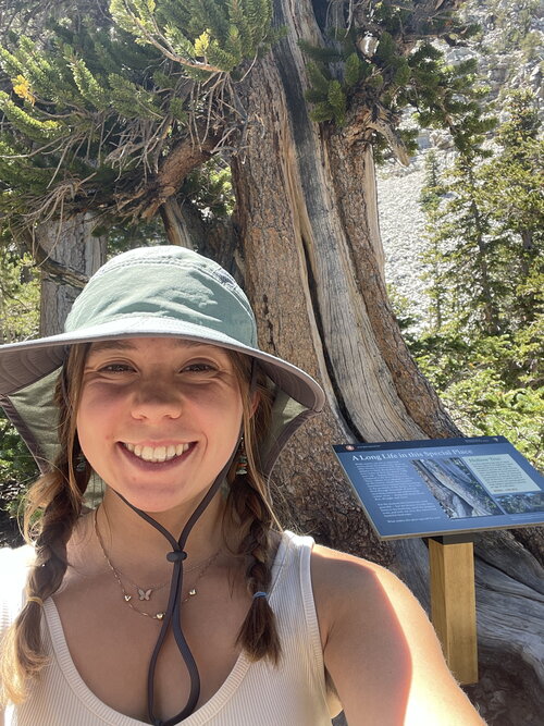 Profile picture for Emily Cook