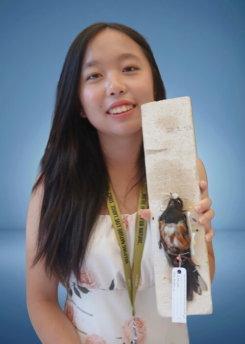 Lara Tseng