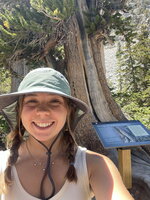 Profile picture for Emily Cook