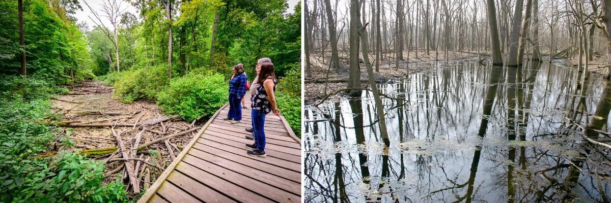 side by side photo of Busey woods when it's dry and when its covered in water