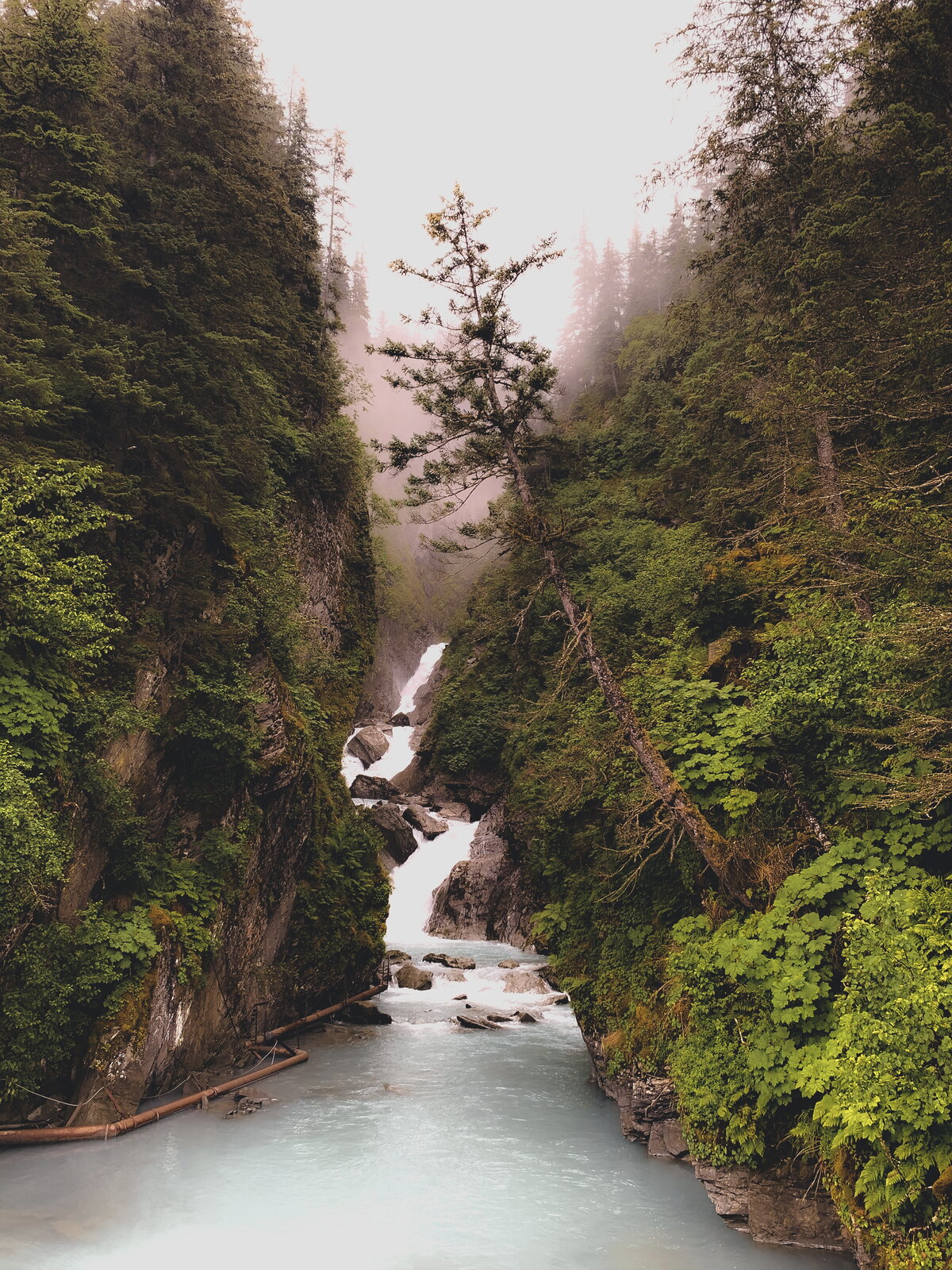 A river running into a stream of water with a misty woods surrounding it