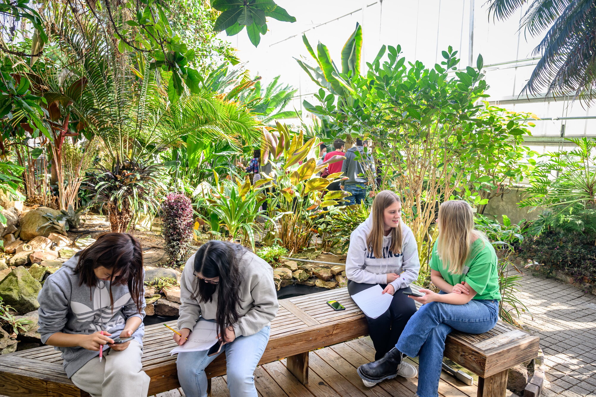 Students hanging out in the conservatory