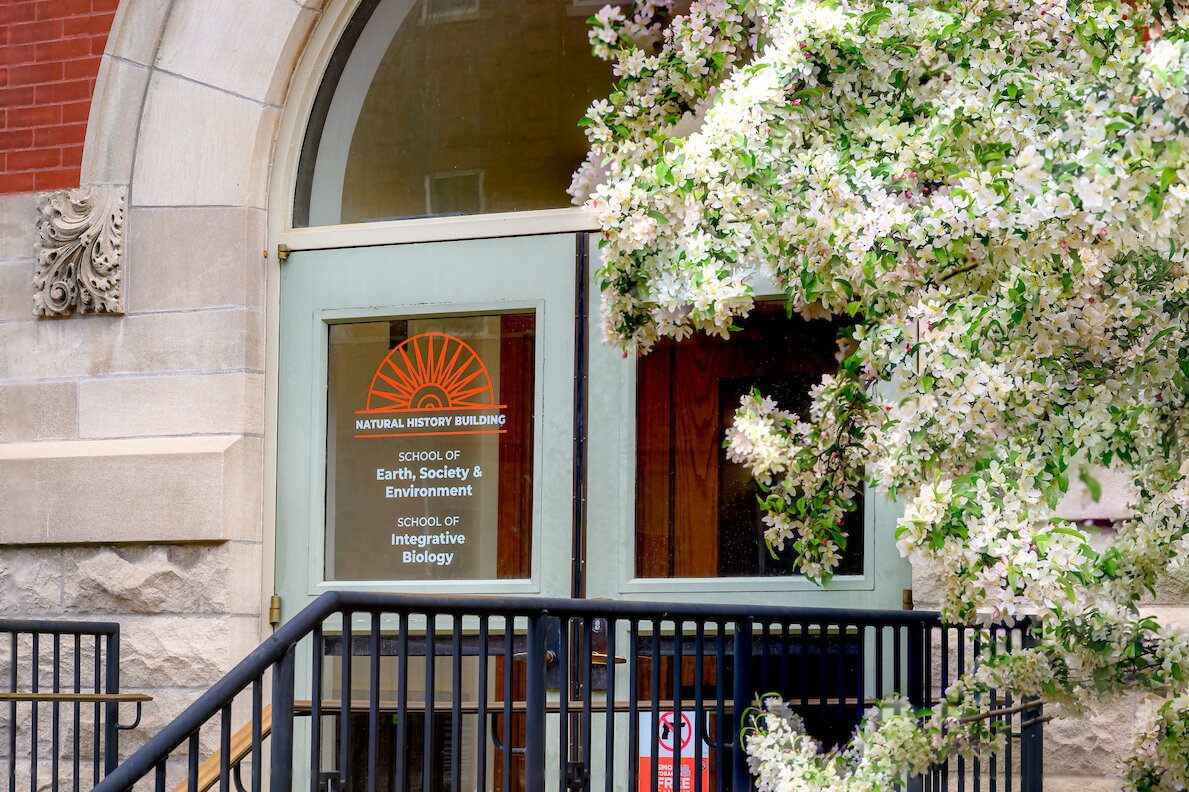 Shot of an entrance to NHB with the sunburst artwork