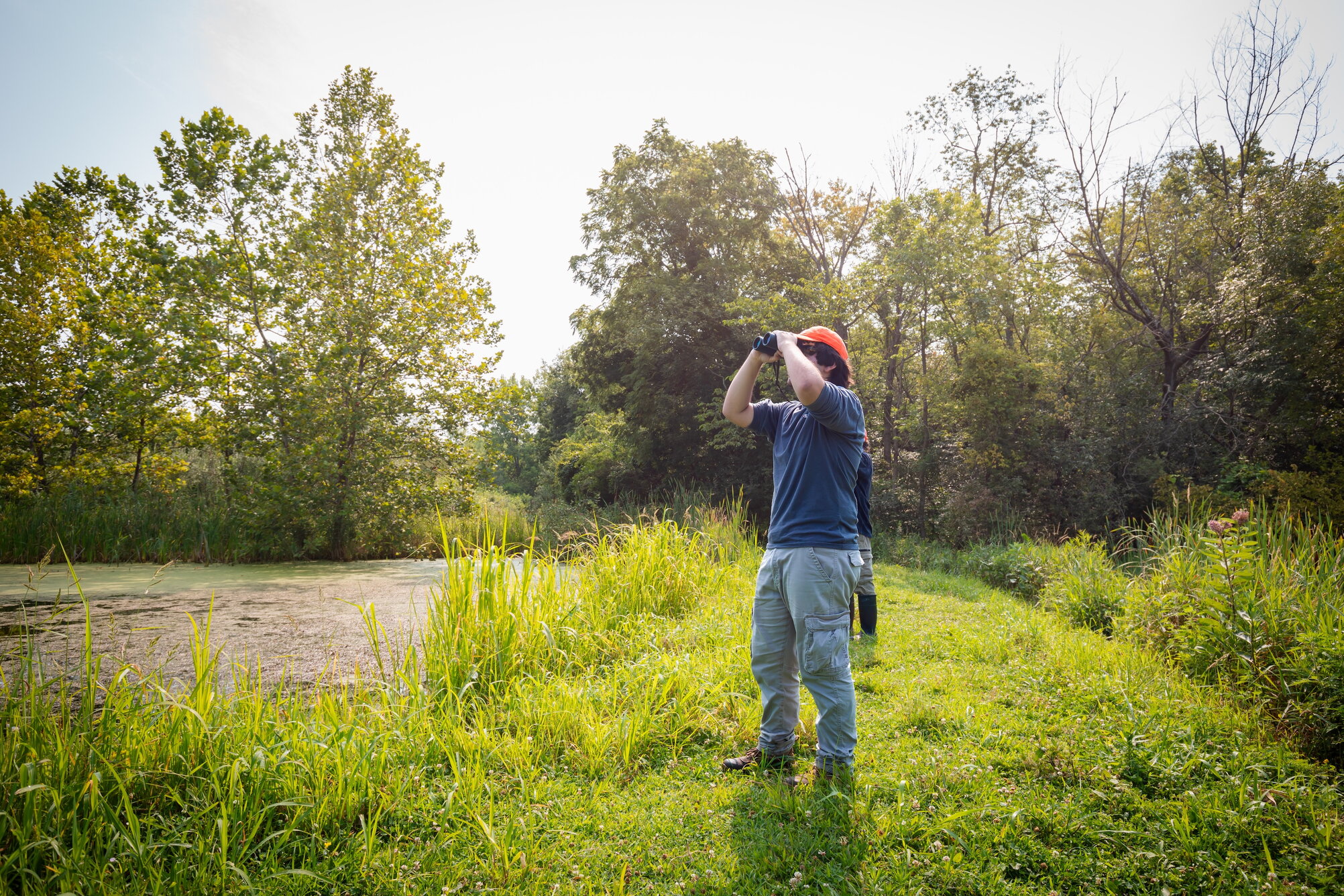 A person in a field with an orange hat, blue shirt, and blue jeans looking through binoculars