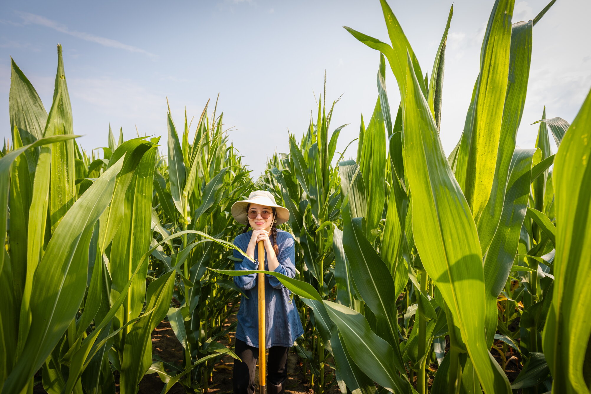 A woman standing in a cornfield wearing a sunhat and leaning on a gardening tool