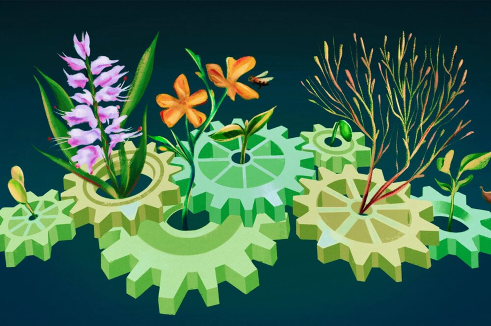 graphic of plants in cog wheels