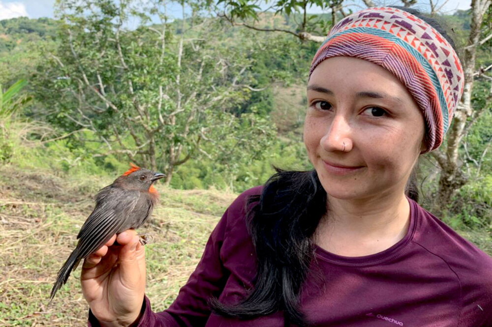 Juliana Soto, with a sooty ant tanager, Habia gutturalis