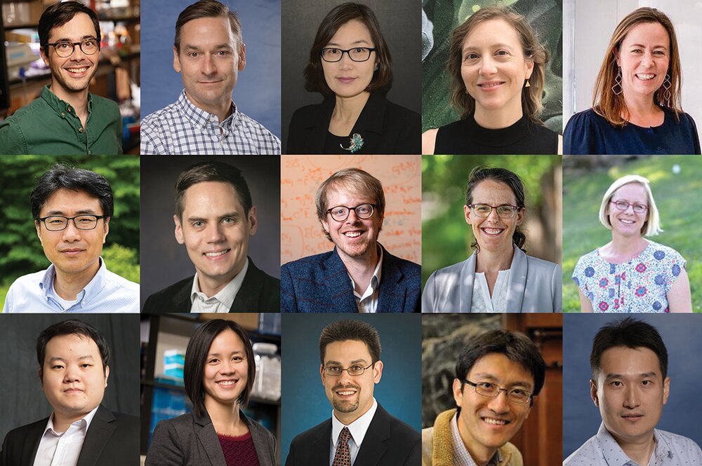 Team Science Leadership Program 2023 Cohort grid of profile photos