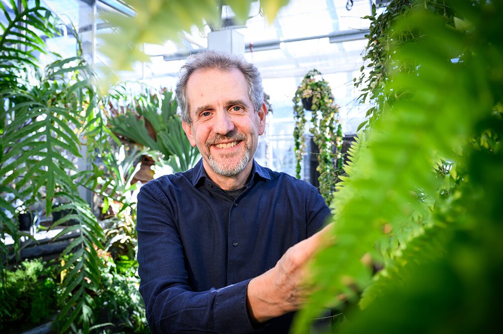 Jim Dalling in greenhouse with ferns