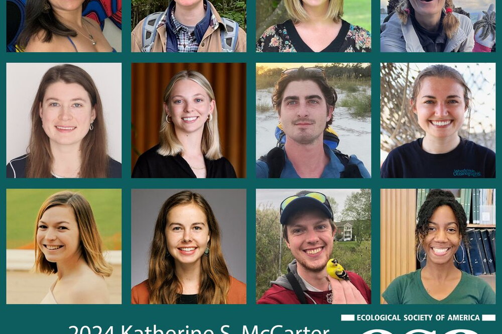 12 ESA awardees: 2024 Katherine S. McCarter Graduate Student Policy Award