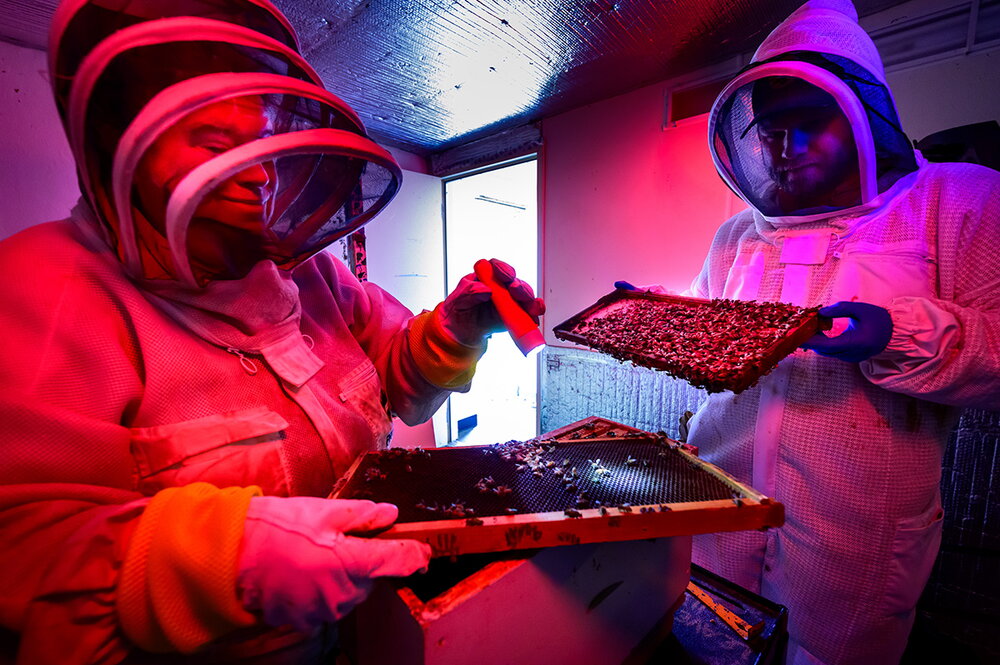 A man and woman in bee suits holding parts of a bee hive