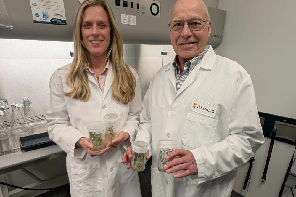  man and a woman in white lab coats hold containers with young green plants in a lab setting.