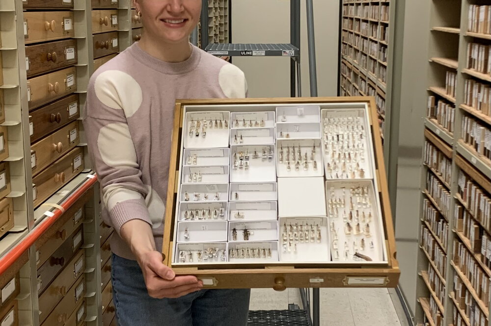 Lily standing with a collection of insects