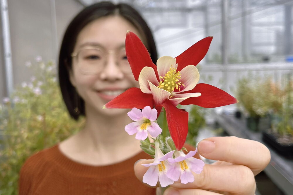 a woman holding a flower in front of her face
