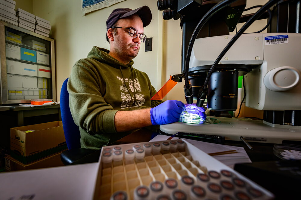 A man working at a microscope