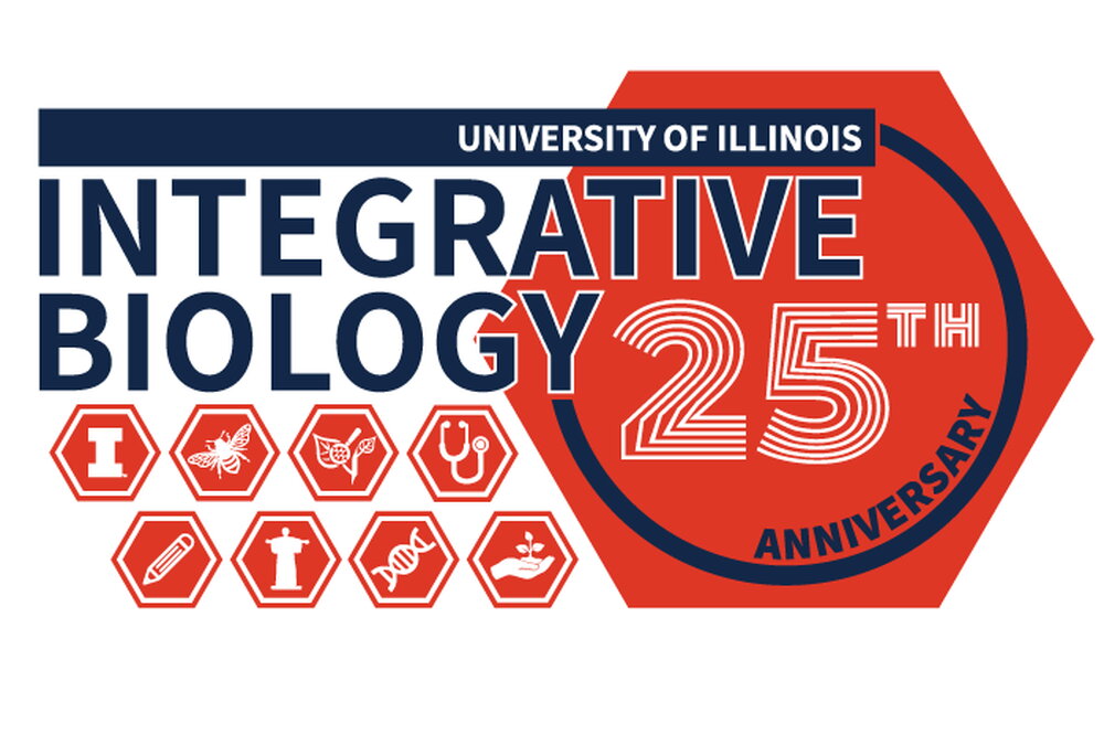 a graphic with hexagons announcing SIB's 25th anniversary