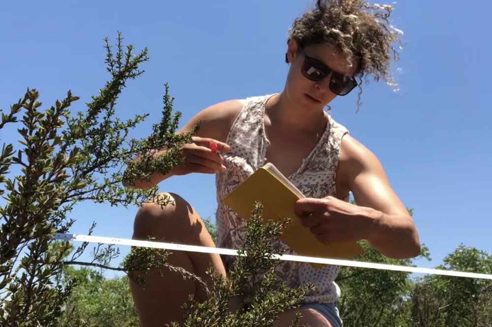 A woman crouching next to a plant outdoors