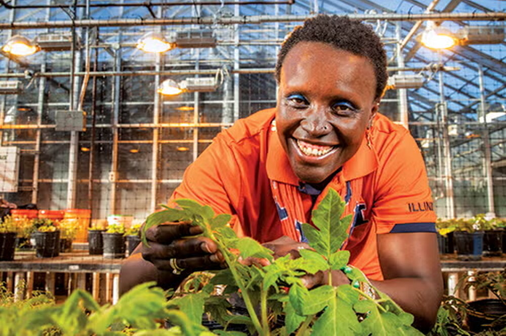 A smiling woman in an orange shirt standing behind tomato plants in a green house 