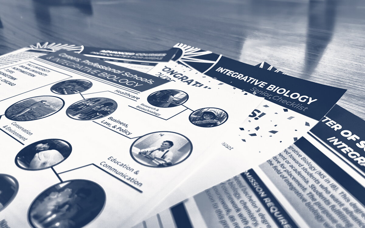 IB student handouts